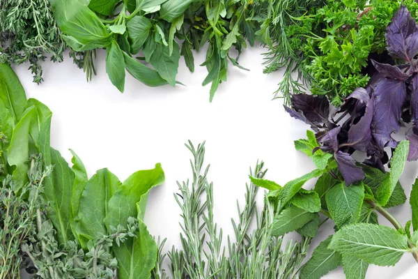 Frame made of fresh herbs on white background