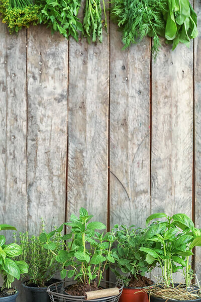 Pots and bunches with different herbs on wooden background