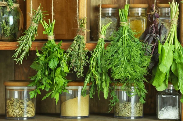 Frische Kräuter Hängen Schnüren Holzregalen — Stockfoto