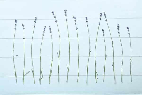 Vackra Lavendel Vitt Bord — Stockfoto