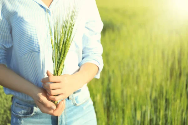 Woman Holding Wheat Spikelets Green Field — Stock Photo, Image