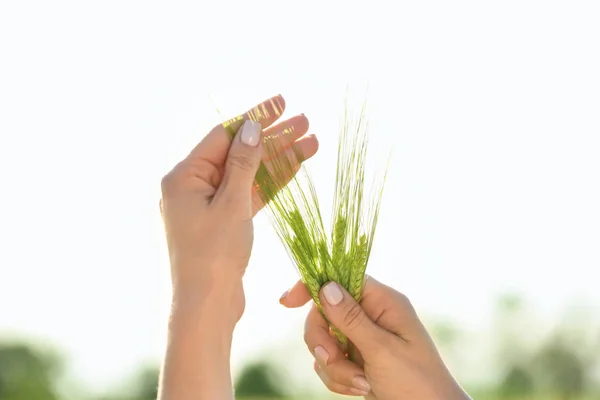 Woman Holding Wheat Spikelets Outdoors — Stock Photo, Image