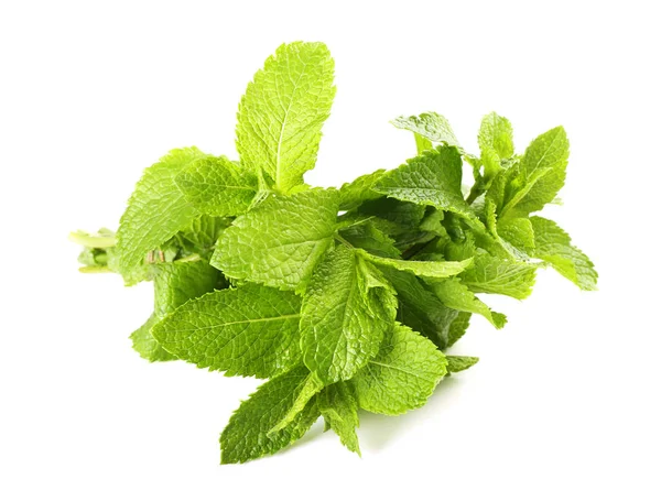 Albahaca Verde Fresca Sobre Fondo Blanco — Foto de Stock