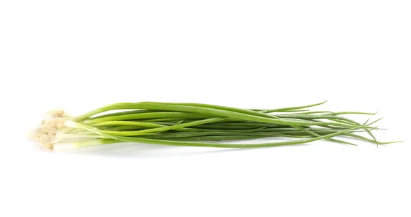 Cipolla Verde Fresca Sfondo Bianco — Foto Stock