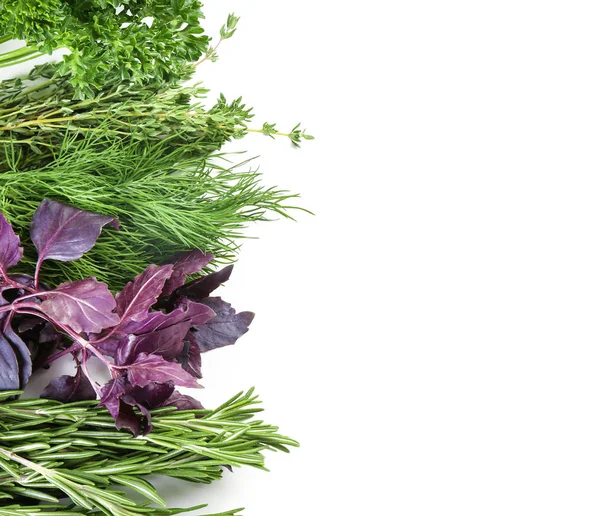 Different Fresh Herbs White Background — Stock Photo, Image