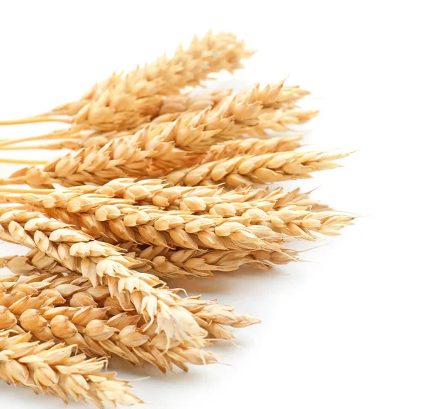 Wheat Spikelets White Background — Stock Photo, Image