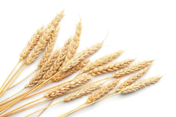Пшеничні Колоски Білому Тлі — стокове фото