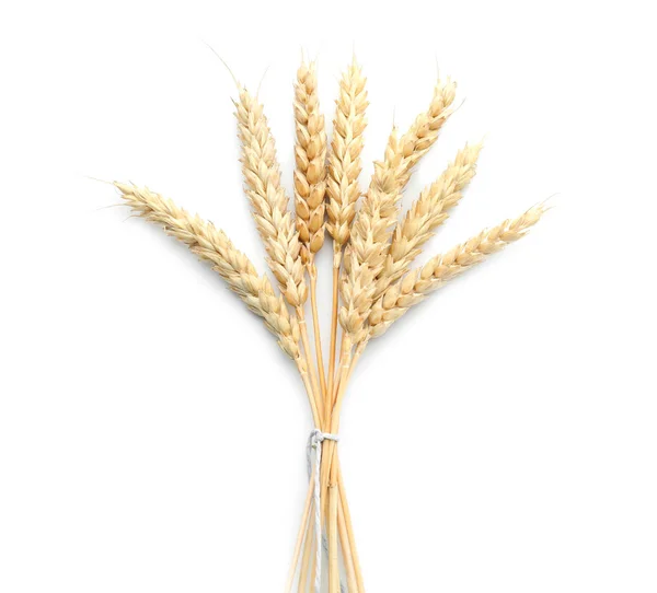 Wheat Spikelets White Background — Stock Photo, Image