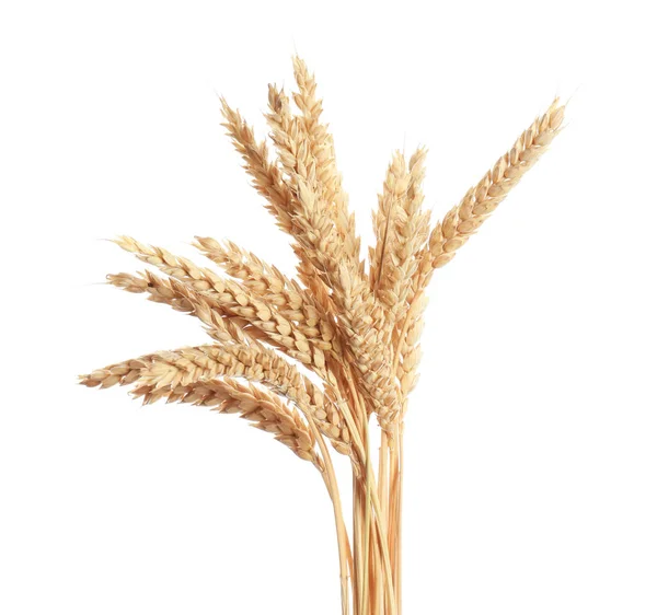 Wheat Spikelets White Background — Stock Photo, Image