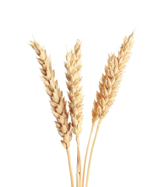 Пшеничні Колоски Білому Тлі — стокове фото