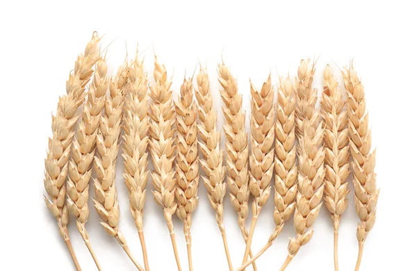 Wheat Spikelets White Background — Stock Photo, Image