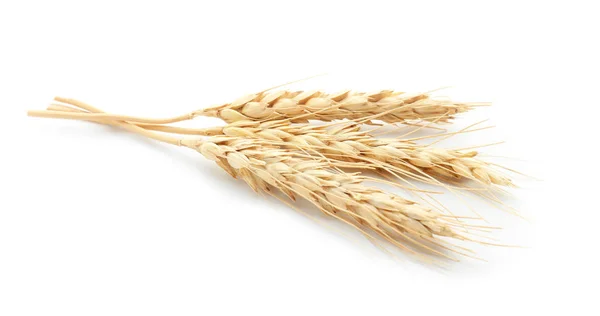Wheat Spikelets White Background Royalty Free Stock Photos