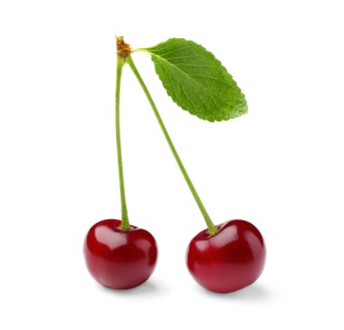 Beyaz arka planda olgun kirazlar