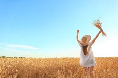 Buğday spikelets alanında güneşli güzel bir kadınla
