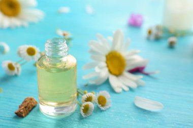 Papatya esans ve renk ahşap masaya taze çiçek şişe