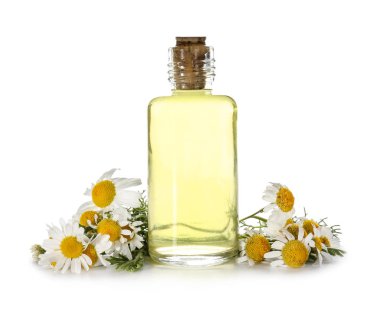 Beyaz arka plan üzerinde papatya çiçeği ile uçucu yağ şişe