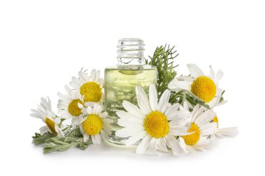 Beyaz arka plan üzerinde papatya çiçeği ile uçucu yağ şişe