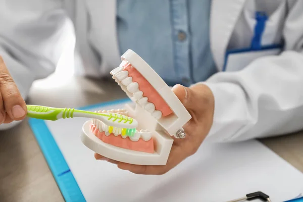 Dentiste Avec Modèle Mâchoire Brosse Dents Assis Table Bureau Gros — Photo