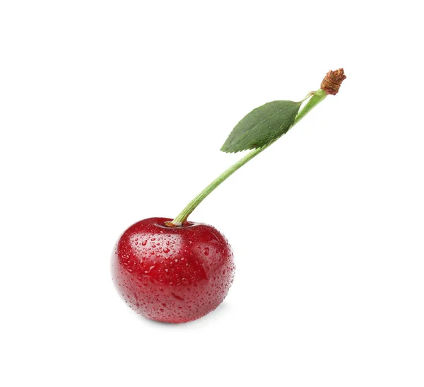 Ripe Cherry White Background — Stock Photo, Image