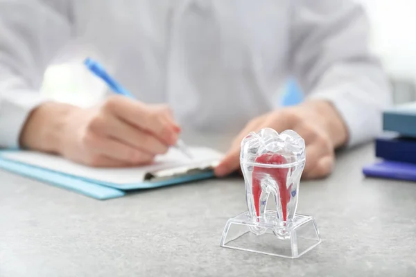 Diş Dişçi Ofisinde Tablosunda Plastik Modeli Ile Tablo — Stok fotoğraf