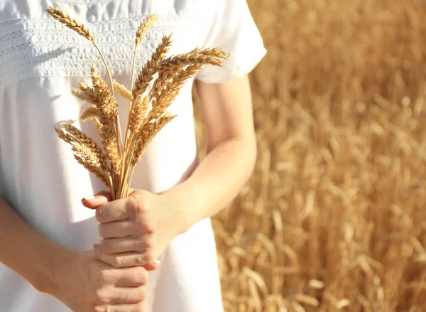 Beautiful Woman Wheat Spikelets Field Sunny Day — Stock Photo, Image