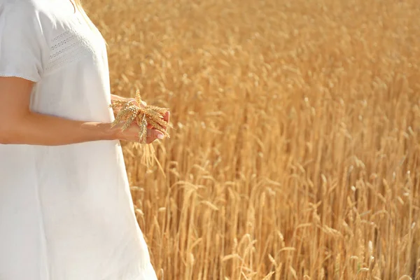 Beautiful Woman Wheat Spikelets Field Sunny Day — Stock Photo, Image