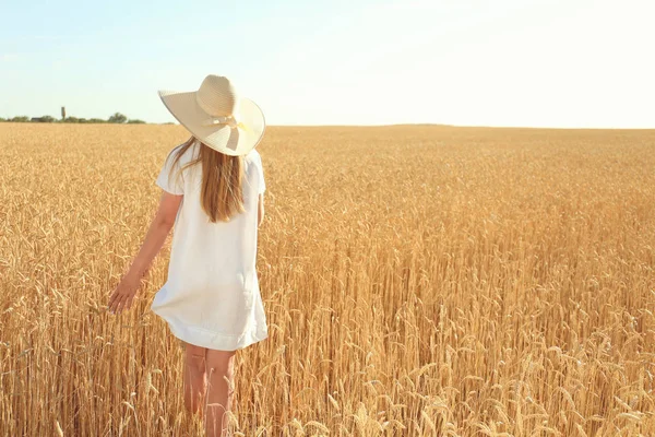 Beautiful Woman Wheat Field Sunny Day — Stock Photo, Image