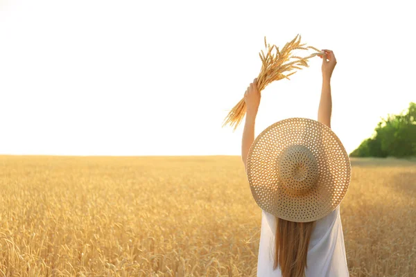 Beautiful Woman Wheat Spikelets Field Sunny Day — Stock Photo, Image