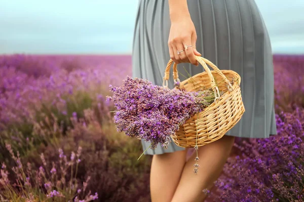 Beautiful young woman with wicker basket in lavender field on summer day