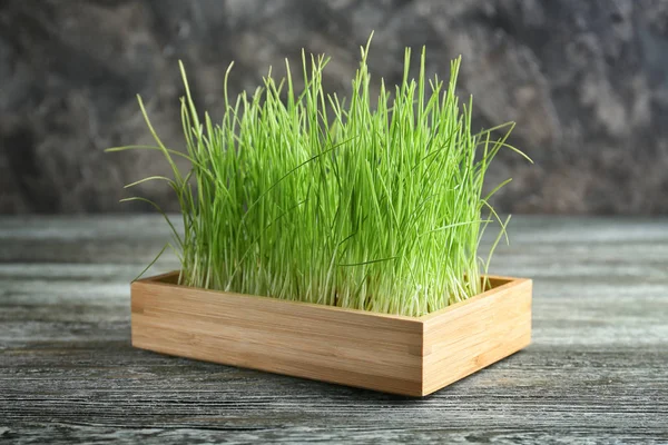 Wooden Box Sprouted Wheat Grass Table — Stock Photo, Image