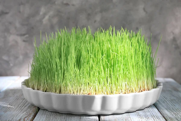 Dish Sprouted Wheat Grass Wooden Table — Stock Photo, Image