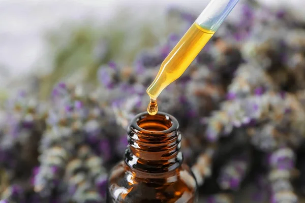 Dripping Lavender Essential Oil Bottle Closeup — Stock Photo, Image