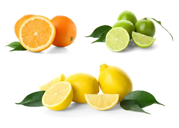 Set Med Olika Citrusfrukter Vit Bakgrund — Stockfoto