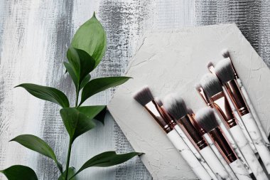 Dekoratif kozmetik üzerinde ahşap arka plan uygulamak için makyaj fırça seti