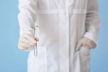 Bilim adamı holding tüp ile renk arka plan üzerinde bitki