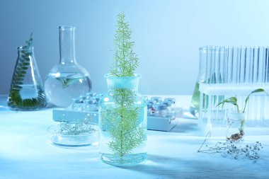 Bitkiler üzerinde tablo ile farklı Laboratuar kapkacakları