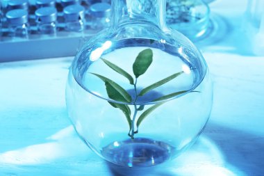 Laboratuar tablo üretim tesisi ile cam şişe