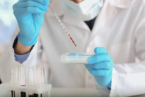 Cientista Que Trabalha Com Amostra Sangue Laboratório — Fotografia de Stock