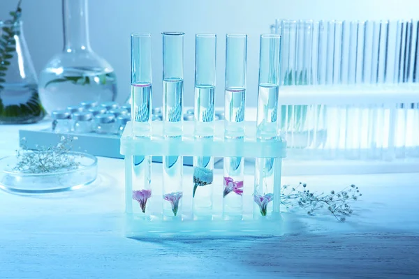 Test Tubes Flowers Rack Table — Stock Photo, Image