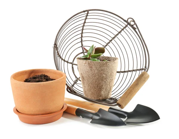 Flowerpots Gardening Tools Basket White Background — Stock Photo, Image