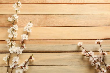 Ahşap arka planda çiçek açan güzel dallar.