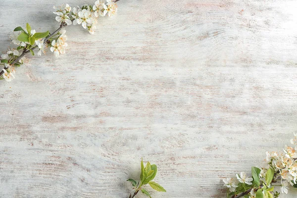 Beautiful Blossoming Branches Wooden Background — Stock Photo, Image