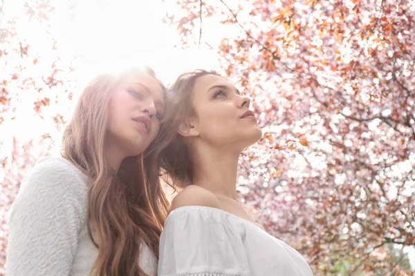 Beautiful Young Women Park Blooming Trees Spring Day — Stock Photo, Image