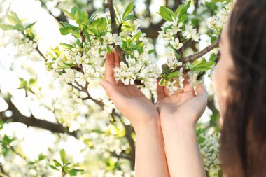 Güneşli bahar gününde çiçek açması tree yakınındaki güzel genç kadın
