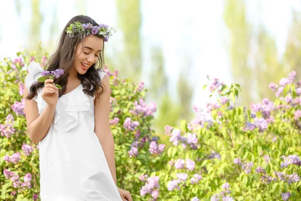 Çiçek Çelenk Çiçek Açması Çalı Yakınındaki Güneşli Bahar Gününde Giyen — Stok fotoğraf