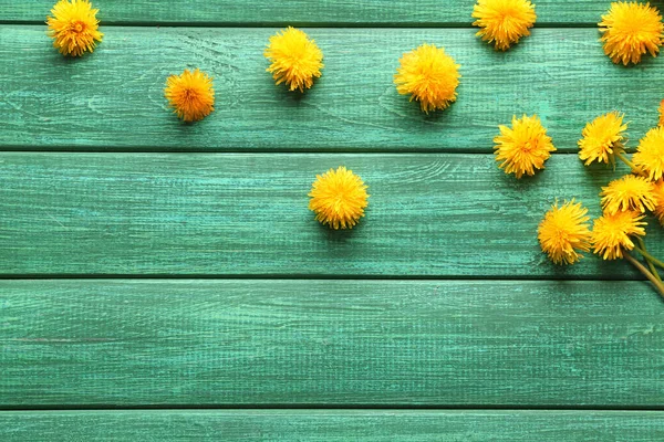 Yellow dandelions on color wooden background