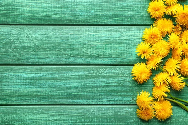 Yellow dandelions on color wooden background