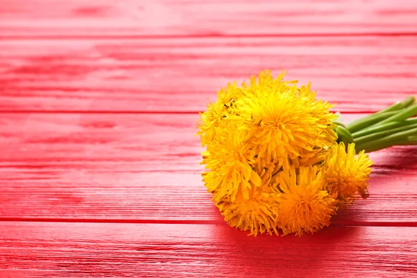 Yellow dandelions on color wooden background
