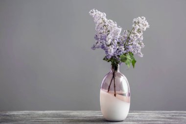 Vazo ile gri arka plan karşı masada güzel çiçek açması leylak