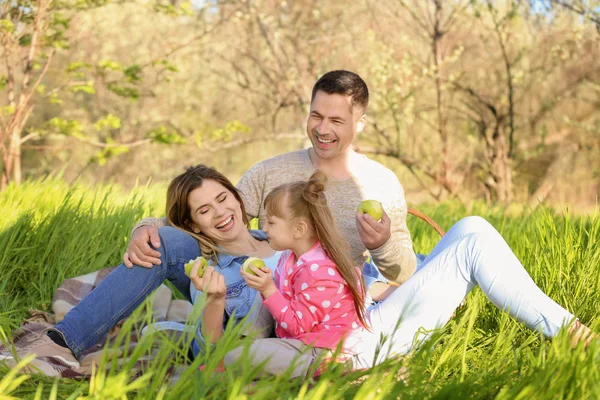 Famiglia Felice Mangiare Mele Nel Parco — Foto Stock